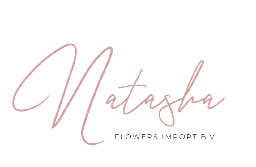 Natashaflowersimport.nl